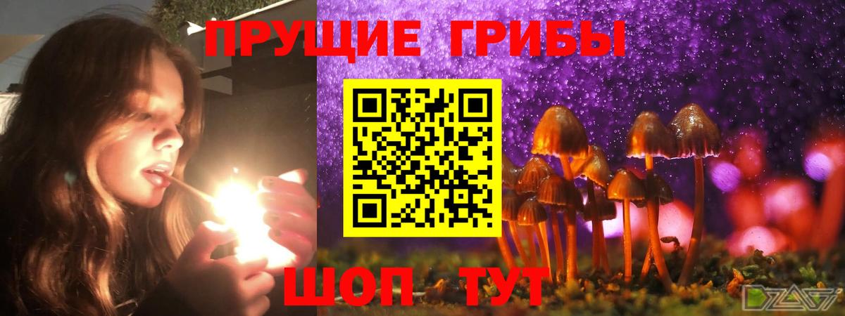 Галлюциногенные грибы Magic Shrooms Строитель
